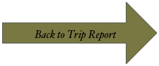 
Back to Trip Report
