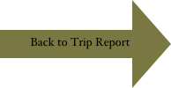 Back to Trip Report